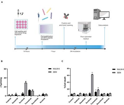 MCL-1 Inhibition Overcomes Anti-apoptotic Adaptation to Targeted Therapies in B-Cell Precursor Acute Lymphoblastic Leukemia